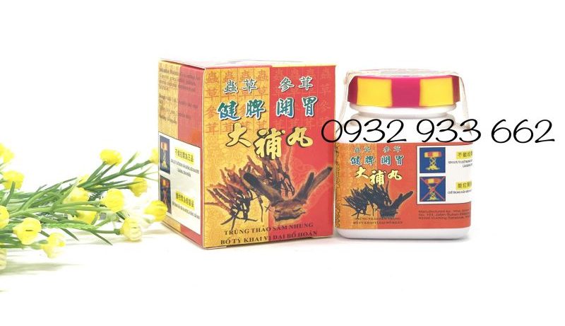 Trùng thảo sâm nhung bổ tỳ khai vị đại bổ hoàn